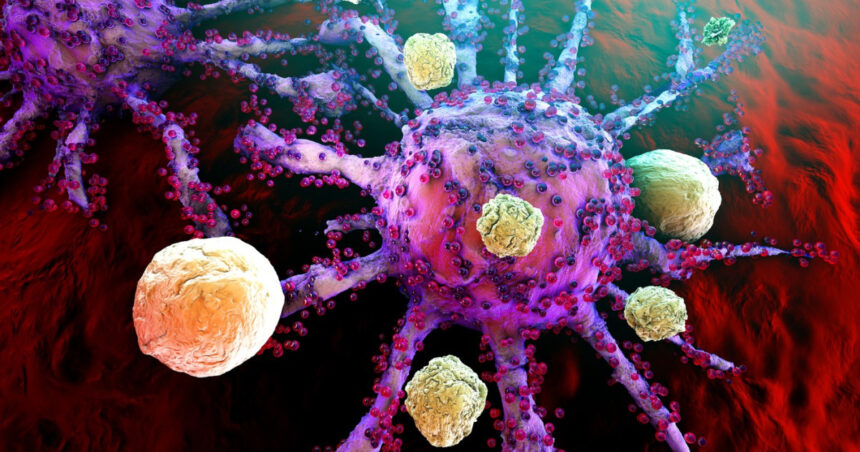 cum supravietuiesc unele tipuri agresive de cancer cercetatorii spun ca au descoperit care este mecanismul 6ab8a1348ac3e