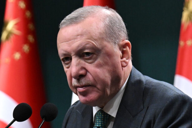 erdogan apel catre rusia si ucraina cum vrea turcia sa protejeze navele din marea neagra si sa relanseze negocierile de pace 6ab4cfc97e327