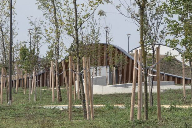 foto video promis pentru 2025 gata in 2027 perdeaua verde din constanta bate pasul pe loc 6a9a0176bc702