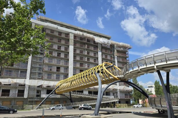 le rose del lago controversatul proiect de langa pasarela din mamaia intra intr o noua etapa 6a9932471c067