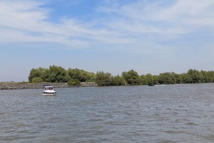 lovitura in dosarul a doi afaceristi cu legaturi in cazul arsvom tribunalul constanta a anulat probele administrate de politistii dga 6ab591782fa6e
