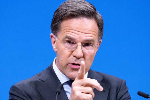 mark rutte nu exista nicio amenintare iminenta dinspre rusia pentru teritoriul nato ne putem permite un pic de calm 6abd37702d5c0