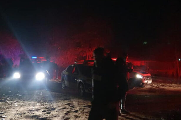 nicio decizie privind instituirea starii de alerta in ilfov din cauza arderilor ilegale din sintesti ce spune diana buzoianu 6aba90bb0dd52