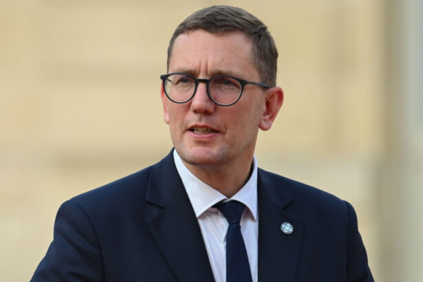 nu vom fi intimidati premierul estoniei acuza rusia de o campanie de sabotaj in europa 6abbc61a94a03