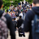 peste 5 400 de someri erau inregistrati in capitala in luna august mai mult de jumatate nu primeau indemnizatie 6aba2744c4e23
