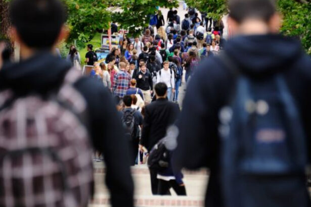 peste 5 400 de someri erau inregistrati in capitala in luna august mai mult de jumatate nu primeau indemnizatie 6aba2744c4e23