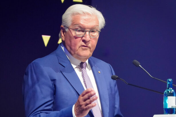 presedintele germaniei avertizeaza asupra riscurilor climatice din alpi schimbarile climatice nu pot fi lasate la coada agendei 6a97cb29cdd57