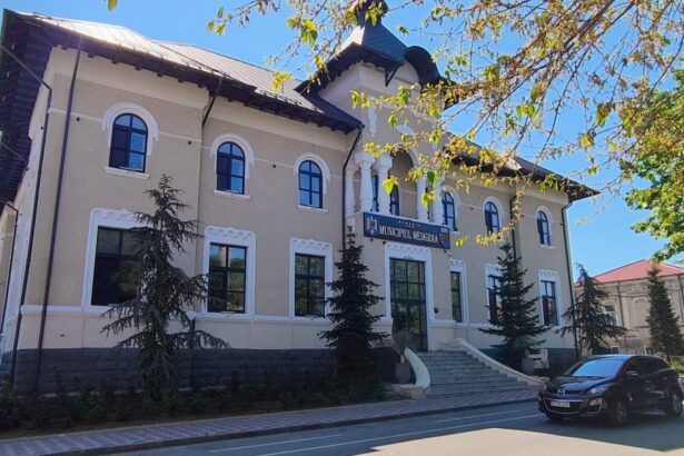 primaria medgidia a lansat licitatia pentru renovarea integrata a casei de cultura i n roman 6a99fdf268fde