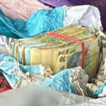 un presupus camatar din dambovita a ingropat aproape 200 000 de lei in curtea casei sale opt persoane audiate de politisti 6a97f1d589ef8