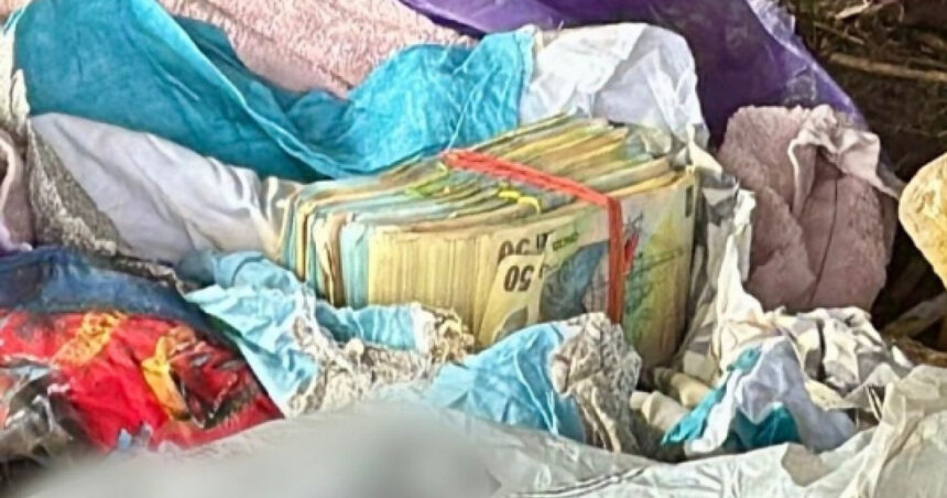 un presupus camatar din dambovita a ingropat aproape 200 000 de lei in curtea casei sale opt persoane audiate de politisti 6a97f1d589ef8