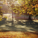 video caldura neobisnuita pentru sfarsitul lui septembrie ce temperaturi vom avea in romania anuntul anm 6ab9231c270b0