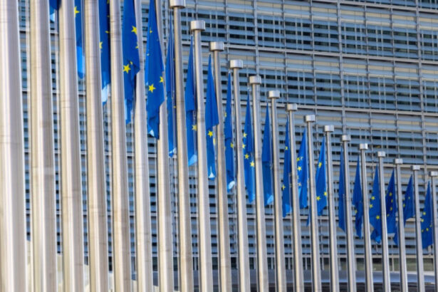 video comisia europeana cere clarificari din partea romaniei privind amendamentul fritz ca parte a reformei din pnrr surse 6a985ed1a7593