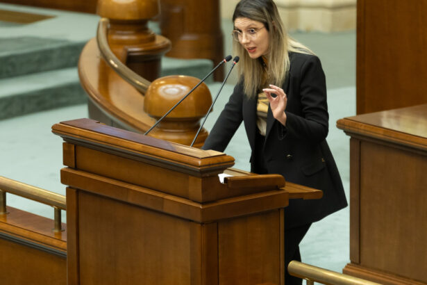 video diana buzoianu acuza psd ca impiedica formarea guvernului muresan nu mai inventati motive sa blocati tara 6abcff28274ba