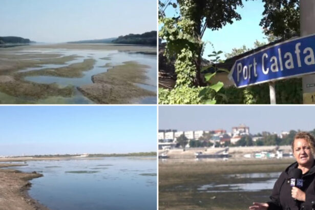 video erau vapoare erau pasageri nave blocate circulatie paralizata de luni intregi seceta extrema prelungeste criza de pe dunare 6abb4789d11c7