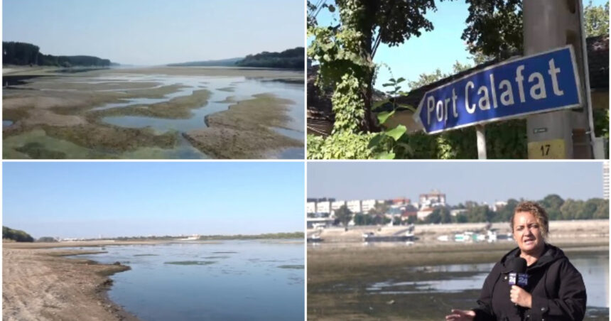 video erau vapoare erau pasageri nave blocate circulatie paralizata de luni intregi seceta extrema prelungeste criza de pe dunare 6abb4789d11c7