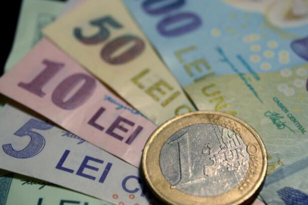 video la cat ar putea ajunge euro daca romania va fi retrogradata la junk avertismentul profesorului cristian paun 6ab4fe68b3649