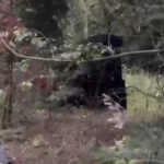 video momentul in care drona ajunge aproape de localitatea solca din suceava se prabuseste aicea 6ab4fd8e966c0