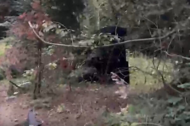 video momentul in care drona ajunge aproape de localitatea solca din suceava se prabuseste aicea 6ab4fd8e966c0