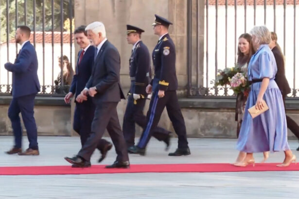 video nicusor dan a fost primit la praga de presedintele cehiei petr pavel 6abceb4f543b6