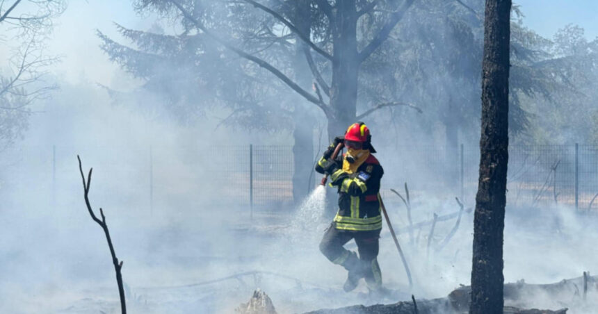 video pompierii romani continua lupta cu incendiile din serbia interventii in rezervatia deliblato sands 6a9695c9d5ee5