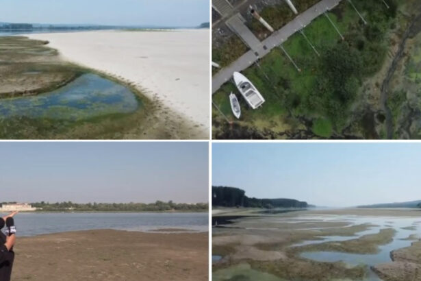 video seceta schimba peisajul dunarii la calafat kilometri de nisip si nave blocate pe fluviu niciodata nu a fost asa ceva 6a97d7e8a0a4b