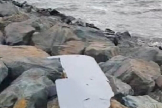 video un fragment de drona a fost gasit la agigea 6ab78efb602f2