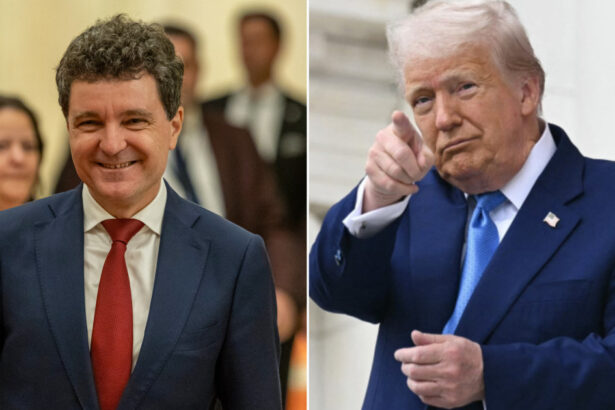 administratia prezidentiala demonteaza un fake privind poza lui nicusor dan cu donald trump ce imagini false circula pe internet 6ac00efccee8e