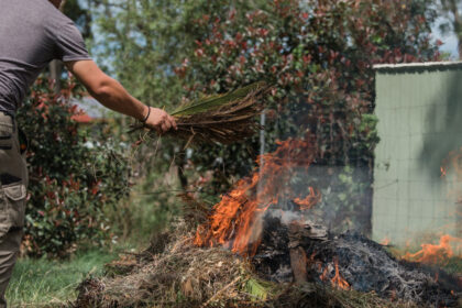 arzi frunze si crengi in curte poti primi o amenda de pana la 45 000 de lei chiar daca focul nu se extinde 6ae59051718b1