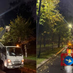 bucurestiul se pregateste de sarbatori 6 milioane de luminite vor transforma capitala cand se deschide targul de craciun 6ae25d043b843