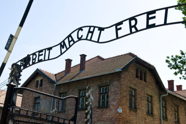ce amenda a primit un lituanian care a facut salutul fascist in lagarul de la auschwitz 6acd1e80cd7d6