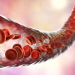 cercetatorii au descoperit o noua cauza a hipertensiunii arteriale si o cale de a o trata 6ac49eac1bed8