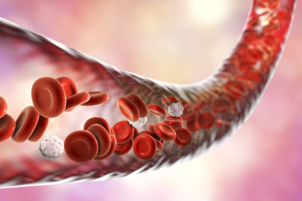 cercetatorii au descoperit o noua cauza a hipertensiunii arteriale si o cale de a o trata 6ac49eac1bed8