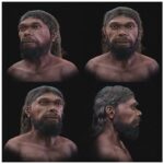 cercetatorii au reconstituit chipul celui mai vechi homo sapiens cunoscut 6adf03b07dbbd