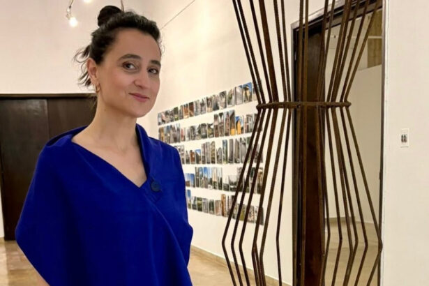 cine este ioana ciocan propunerea pentru ministerul culturii in guvernul luca niculescu 6ad0c5a87e435