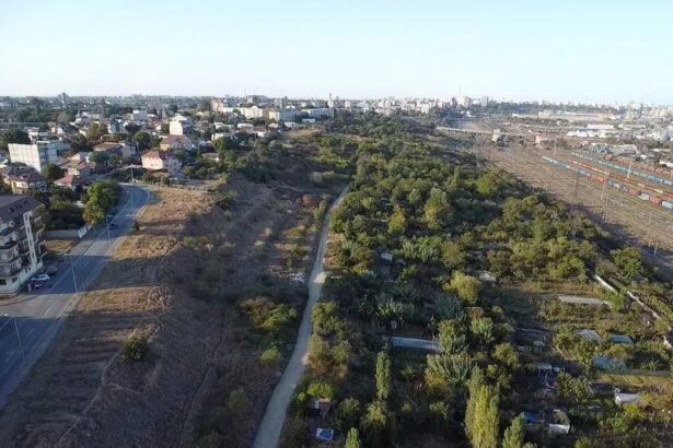 cum ar trebui sa se schimbe la fata zona cuprinsa intre strada traian si soseaua portului promenada si inaltime maxima de doua trei etaje 6ac2e39cd2ecf