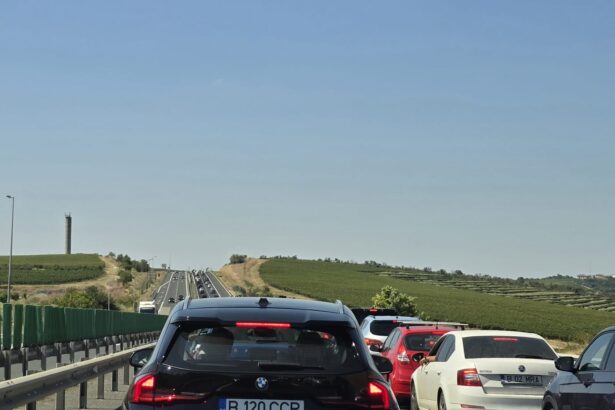 depistat baut posibil si drogat fara permis de conducere la volanul unei masini care rula pe autostrada spre cernavoda 6ac209a961dd1