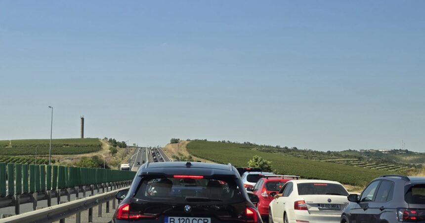 depistat baut posibil si drogat fara permis de conducere la volanul unei masini care rula pe autostrada spre cernavoda 6ac209a961dd1