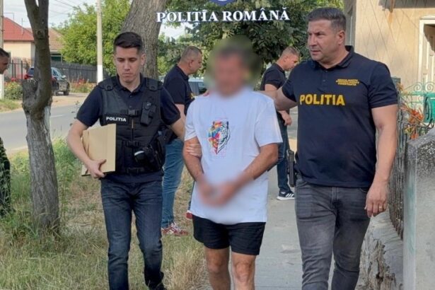 detalii din dosarul in care gica slabu a fost atacat in propria curte apar si alte parti vatamate declaratia inculpatului 6ac424afcad9b
