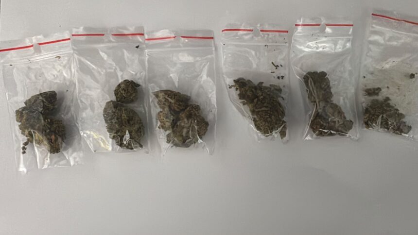 doi tineri prinsi cu droguri la purtator in medgidia substantele ii ajutau sa se calmeze 6acb3ac071d02