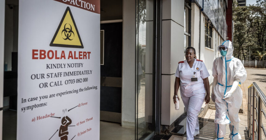 epidemia de ebola se extinde in africa cat de mare este riscul pentru romania si ce avertizeaza expertii europeni 6adc835bb7968