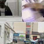 exclusiv o fantezie eroica in care tu schimbi lumea un criminolog explica ce ar fi putut contribui la atacul elevului de 13 ani din bistrita 6ad71a4338a06