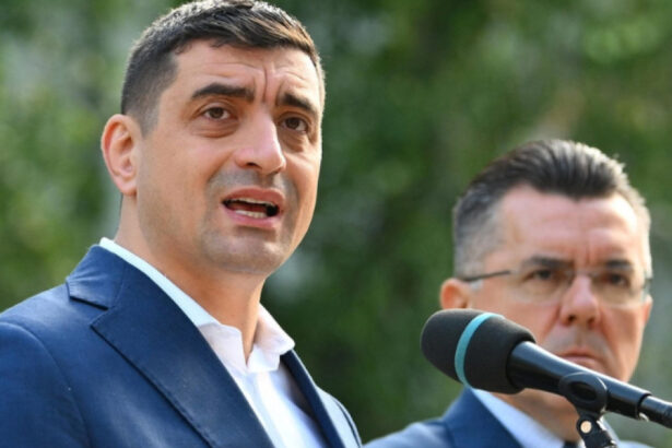 george simion cere suspendarea lui nicusor dan ofer tuturor parlamentarilor psd tabelul pentru semnaturi 6ac49e299b813