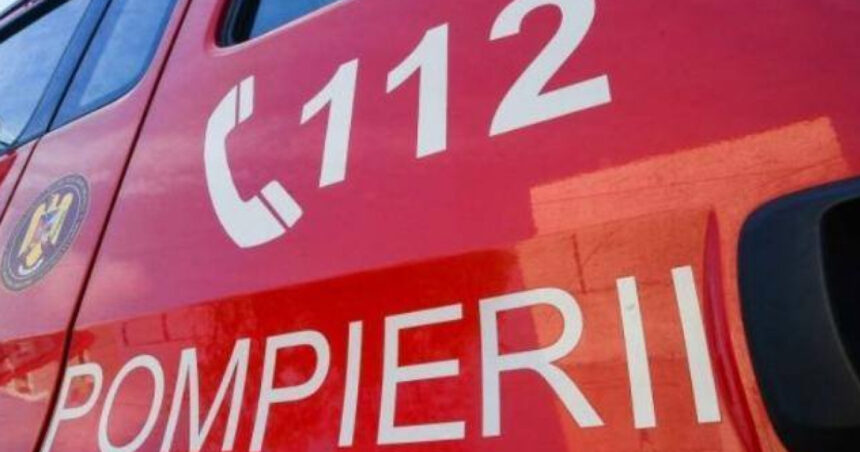 incendiu puternic in zona de locuinte improvizate craica din baia mare focul a fost pus intentionat 6ac5fdb9cda35