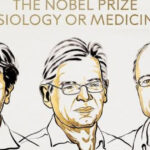 news alert premiul nobel pentru medicina 2026 karl deisseroth peter hegemann si georg nagel pentru realizarile privind optogenetica 6ac376dc14298