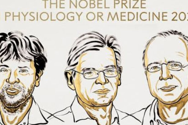 news alert premiul nobel pentru medicina 2026 karl deisseroth peter hegemann si georg nagel pentru realizarile privind optogenetica 6ac376dc14298