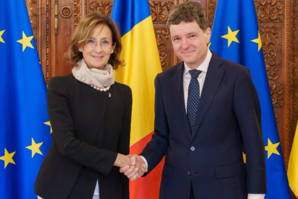nicusor dan dialogul cu expertii europeni este esential ce a discutat cu delegatia comisiei de la venetia 6ad635dc77b9f