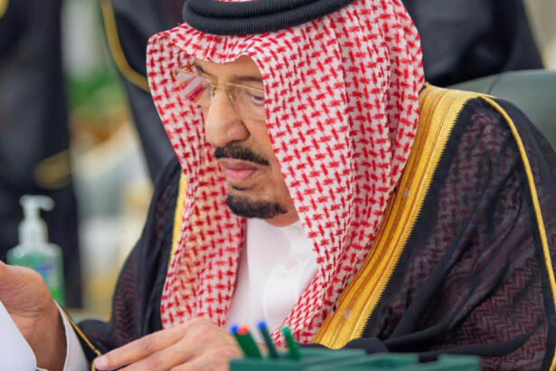 nicusor dan invitat de regele salman bin abdulaziz la un summit in arabia saudita aflata sub amenintarea atacurilor rebelilor houthi 6ace1ef97f961