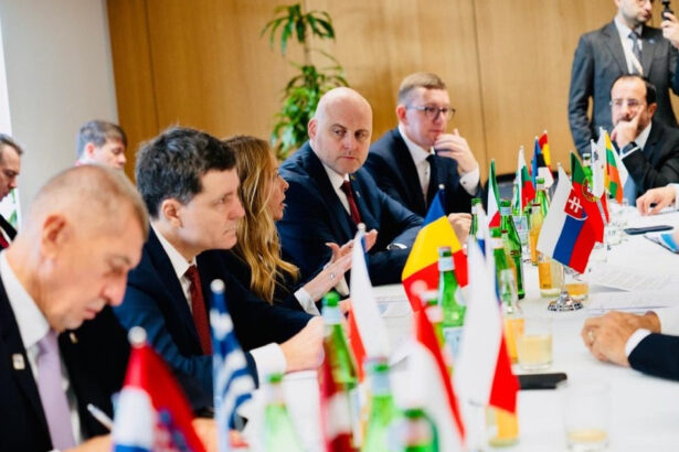 nicusor dan si giorgia meloni front comun pentru bugetul ue cele patru prioritati sustinute de prietenii coeziunii 6ad0a5db64121
