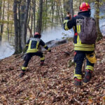 noi interventii pentru stingerea incendiilor din parcul national domogled peste 1 000 de hectare sunt afectate 6acc5cf98f93a