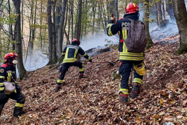 noi interventii pentru stingerea incendiilor din parcul national domogled peste 1 000 de hectare sunt afectate 6acc5cf98f93a